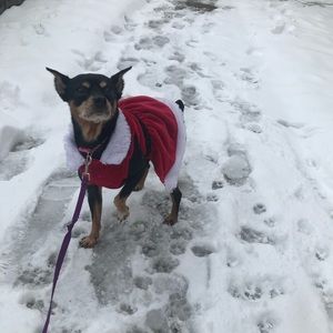 Meet your Posher, Hayley